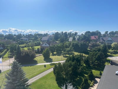 The image depicts a panoramic view of a residential area in Toila, Estonia, on a clear, sunny day. In the foreground, a large evergreen tree is prominent. Beyond that, a manicured lawn stretches out, with paved walkways and a road. Several houses with red and gray roofs are visible, nestled amongst lush green trees. In the distance, a line of fluffy white clouds borders the horizon beneath a bright blue sky. There are no people or animals present in the image. The scene conveys a peaceful, suburban atmosphere.