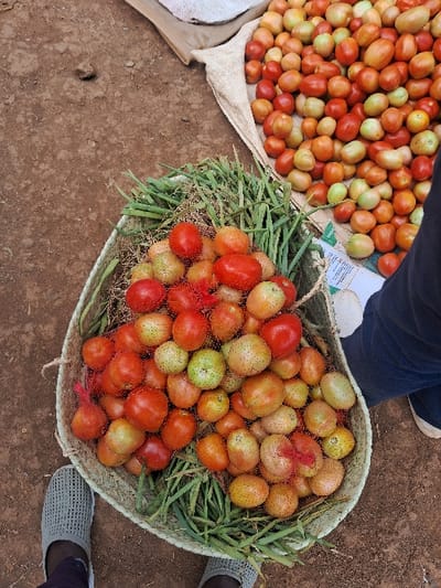 An overhead photograph depicts a ground-level market scene in Mariani ward, Kenya. The scene features a display of fresh produce on a reddish-brown dirt ground. In the upper right quadrant, a large quantity of ripe and semi-ripe tomatoes, varying in color from green-yellow to red, rests on a beige fabric sack, which is partially laid over a brown paper bag or cardboard. A woven basket, positioned prominently in the lower center, contains additional tomatoes of similar ripeness, many of which are individually or in small groups encased in red mesh produce bags. Green leafy vegetables, resembling spring onions or scallions, are arranged around and beneath the tomatoes within this basket. The lower left of the frame shows the feet of an individual wearing grey, textured slip-on shoes and dark trousers, standing on the dirt ground. A portion of another person's leg, clad in dark trousers and white-soled footwear, is visible on the far right, adjacent to the loose tomatoes.