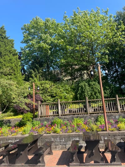 This media file depicts an outdoor scene in Billund, Denmark, under a clear blue sky, suggesting it is daytime with fair weather. The primary subjects are elements of a garden and seating area.

A large tree with lush green foliage dominates the left side of the frame, its branches reaching towards the sky. In the background, various types of greenery, including bushes and possibly evergreen trees, create a dense, natural setting.

To the right, a wooden railing structure, possibly part of a walkway or tiered seating, is visible. Adjacent to this, a landscaped garden bed is filled with a vibrant array of colorful flowers, including yellow, pink, and purple varieties, interspersed with green plants. This garden bed is bordered by dark stone blocks.

In the foreground, on the right side, dark metal benches are arranged, facing the garden and walkway. These benches appear to be modern in design and are positioned on a paved surface, likely brick or stone. A lamp post with two lights stands near the railing, suggesting the area is also illuminated at night.

There is no visible text in the image. The overall impression is a well-maintained outdoor space, likely a public park or garden area, designed for relaxation and enjoyment of nature. The scene evokes a sense of tranquility and natural beauty.