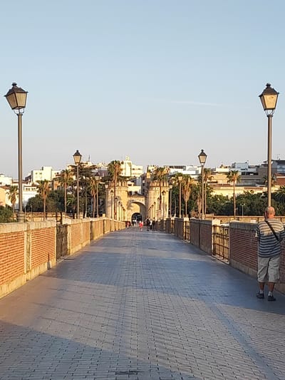 This is a straight-on, eye-level, outdoor, full shot of the Puente de Palmas in Badajoz, Spain. The bridge is constructed of brick and cobblestone. There are several lampposts lining the bridge. In the distance, there is an arched gateway. The sky is clear and blue. There are several people walking on the bridge, and a man is walking away from the camera on the right side of the bridge. The man is wearing a striped shirt and shorts. The Puente de Palmas is a Roman bridge that crosses the Guadiana River in Badajoz, Spain. The bridge is one of the oldest and most iconic landmarks in the city.