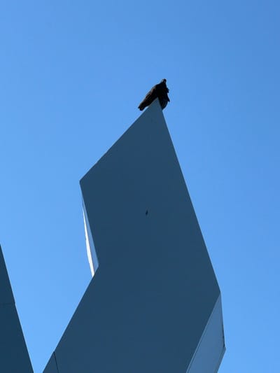 A single, dark-colored bird is perched atop a sharp, angular, dark gray structure against a clear, bright blue sky. The bird is facing to the right and appears to be a pigeon. The structure is geometric and has sharp edges, with one prominent triangular section extending upwards. The sky is featureless, indicating daylight. The location is specified as Plast univska, Russia.