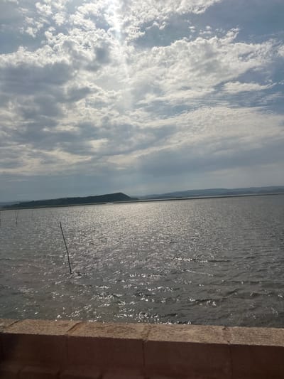 The image depicts a wide expanse of water, likely a body of water such as a lake or sea, reflecting the sky. The water's surface is rippled, creating a shimmering effect due to sunlight. In the foreground, a concrete structure, possibly a wall or pier, runs along the right edge of the frame, showing a textured surface with visible brickwork and shadow.
The sky above is filled with a mix of clouds. Some are wispy and thin, while others are more substantial and textured, suggesting a dynamic weather pattern. Sunlight breaks through the clouds on the left side of the image, creating bright areas and a lens flare effect.
In the distance, a faint outline of land with hills or mountains is visible, separating the water from the sky. The overall scene suggests an outdoor setting, possibly a coastal area or a large inland lake. The lighting indicates it is likely daytime, with the sun positioned somewhat low in the sky, judging by the long shadows cast by the concrete structure. There are a few thin poles or markers emerging from the water, possibly part of a fishing net or buoy system.
No people or specific activities are clearly identifiable, lending the image a sense of stillness and natural beauty. The location cues are limited to the general description of a waterscape with distant landforms. The mood evoked is one of peacefulness and the grandeur of nature. No visible text is present in the image.
