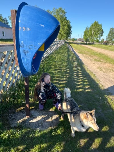 The image depicts a rural outdoor scene in Ust'-Silayka, Russia, under a clear blue sky with intense sunlight casting distinct shadows. A young female, characterized by long light brown hair and dressed in a dark plaid long-sleeved top and patterned trousers with purple shoes, is crouched beside a weathered, bright blue public phone booth. She is holding a black phone receiver to her left ear. The phone booth, mounted on a rusty brown metal post, has yellow numbers "213III" painted on its side, along with other faint markings. Adjacent to the female, a medium-sized dog, appearing to be a husky-mix with light brown, grey, and white fur and a fluffy tail, stands wearing a dark collar and harness, attached to a leash that the female seems to be holding. The dog is oriented towards a wide dirt road that extends into the background on the right side of the frame. A light-colored wooden lattice fence runs parallel to the road on the left. The ground is covered with green grass, interspersed with dandelions, and exhibits long, segmented shadows cast by the fence. In the midground and background, the dirt road is flanked by tall, leafy green trees and several modest, single-story houses. A faint crescent moon is visible in the upper right portion of the sky.