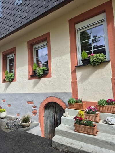 This image captures the exterior of a building located in Traben-Trarbach, Germany, under bright, natural daylight. The structure features a two-toned facade: the upper portion is painted a light cream or beige, while the lower section presents a textured, medium-grey plaster. A reddish-brown trim delineates the window frames and an arched entrance at the base.

Three windows are visible on the upper level, each with white multi-pane frames reflecting a blue sky and green tree foliage. Below each window, dark rectangular window boxes hold a variety of green plants, including small conical evergreens and trailing ivy, intermingled with pink flowers. Shadows from the window boxes and plants are cast on the cream-colored wall below. The roof, partially visible at the top left, is covered with dark grey, interlocking shingle tiles.

At ground level, a dark grey paved path occupies the immediate foreground on the left, transitioning into a circular area of lighter grey and brown cobblestones. A white ceramic pot containing yellow flowers and a textured stone pot with a spiky green plant are placed on the ground, adjacent to a small pile of dark grey flat rocks.

On the right, a set of light-colored concrete steps ascends diagonally. These steps are decorated with multiple terracotta-colored rectangular planters, each holding green plants with predominantly pink and red flowers. Two light-colored rocks are strategically placed on different steps.

An arched wooden door, weathered and appearing rustic, is set into the grey lower wall section, framed by the same reddish-brown as the windows. This door appears to lead downwards, possibly into a cellar. Scattered patches of exposed red brick are visible within the grey plaster of the lower wall. No individuals are present, and no direct actions are occurring within the frame.