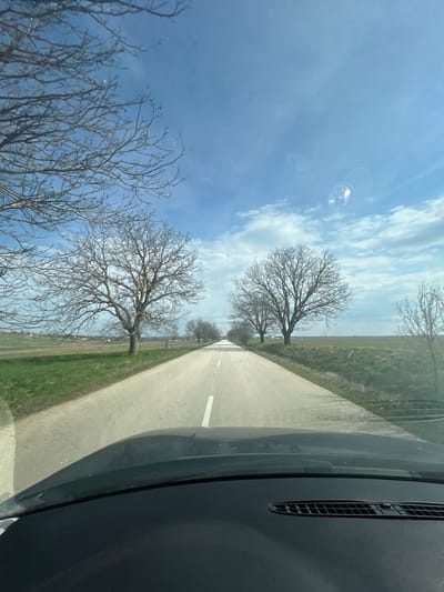 The image captures a first-person perspective from inside a moving vehicle, looking forward down a straight, paved two-lane road in a rural setting, likely within the vicinity of Gorna Mitropolia, Bulgaria. The road surface is light grey, marked by a solid white center line that recedes into the distance under a blue sky with scattered white clouds. Leafless deciduous trees, indicative of late winter or early spring, line both sides of the road, with their bare branches creating a natural archway in the foreground and extending along the road's edges. Beyond the trees, expansive green fields stretch horizontally, with a few distant structures visible on the left side of the horizon. The lower section of the image shows the dark-colored dashboard and a portion of the hood of the vehicle. Reflections are present on the windshield, including a circular object in the upper right area. No individuals or other vehicles are distinctly visible on the road.