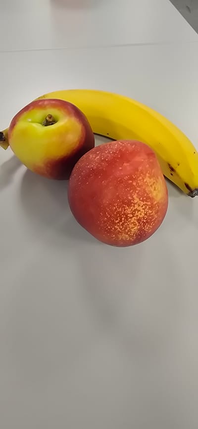 A top-down view of a yellow banana, a red and yellow nectarine, and a red peach are arranged on a plain, light gray surface. The banana is positioned vertically on the left side of the frame, with its stem pointing towards the top. The nectarine is placed below and slightly to the right of the banana, while the peach is situated above and to the right of the nectarine, partially overlapping the banana. The fruits are the sole subjects in the image. There are no people, text, or specific location cues visible. The lighting suggests an indoor setting, possibly a countertop or table, with a soft, diffused light source. No weather or time of day can be determined. The image is a still life of the fruit.