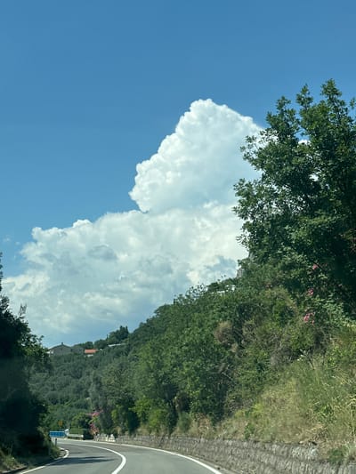 This is a vertical, eye-level, medium shot of a landscape with a road and a large cloud formation. The scene appears to be in a rural or natural setting, possibly along a coastline, given the dense greenery and the presence of what looks like a residential building on a hillside. The time of day appears to be daytime, with bright sunlight. The sky is a clear blue, except for a massive, white cumulus cloud that dominates the left side of the frame. The cloud has a textured, cauliflower-like appearance and extends from the bottom of the frame upwards.

To the right of the cloud, a densely vegetated hillside is visible, covered in various shades of green trees and bushes. Some pink flowers are scattered amongst the greenery, adding a touch of color. A road curves into the frame from the bottom right, with a white line marking its edge. Part of a stone wall is visible on the far right, suggesting the road may be elevated or built into the hillside. A blue sign with some text and a yellow sign are visible along the side of the road. The overall mood is peaceful and serene, highlighting the beauty of the natural landscape. The location context provided is Rijeka Reževići, Montenegro.