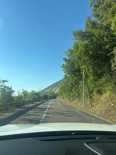 This is a first-person perspective from inside a vehicle, looking out at a winding asphalt road in a rural, mountainous area. The sky is a clear, vibrant blue. On the left side of the road, there is a metal guardrail and sparse green vegetation. The road itself has a white dashed line marking the center. On the right side, a dense wall of lush green trees and foliage rises up a dry, grassy slope. Several tall, thin poles are interspersed among the trees along the right side of the road. In the distance, the road curves to the right, disappearing around a mountain covered in dry grass and scattered trees, which dominates the background. The hood of the vehicle is visible in the foreground. The scene suggests a sunny day in a mountainous region, likely a road traveling through or alongside a forest.