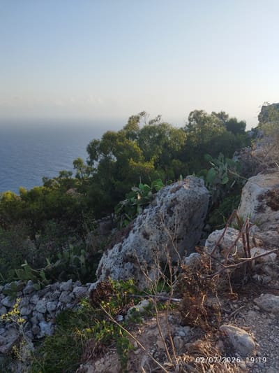 This media file depicts a scenic coastal landscape in Dingli, Malta, during what appears to be either sunrise or sunset, given the soft, diffused light and clear, pale blue sky. The foreground is dominated by rocky terrain and sparse vegetation, including prickly pear cacti, dry brush, and some greenery. Large, weathered grey rocks are scattered across the scene, some forming a low stone wall.
In the mid-ground, a dense cluster of trees with lush green foliage creates a vibrant contrast with the dry, rocky surroundings. Beyond the trees, the deep blue expanse of the sea stretches towards the horizon, where it meets a hazy sky, suggesting a distant coastline or clouds. The overall impression is one of a rugged, natural environment, possibly a cliffside overlooking the sea.
There is no discernible activity or event taking place, as the image focuses on the static landscape. The time of day is indicated by the timestamp visible in the bottom right corner: "02/07/2026 19:19," suggesting early evening. The weather appears to be clear and calm. The natural beauty of the location and the serene lighting evoke a sense of tranquility and natural wonder.