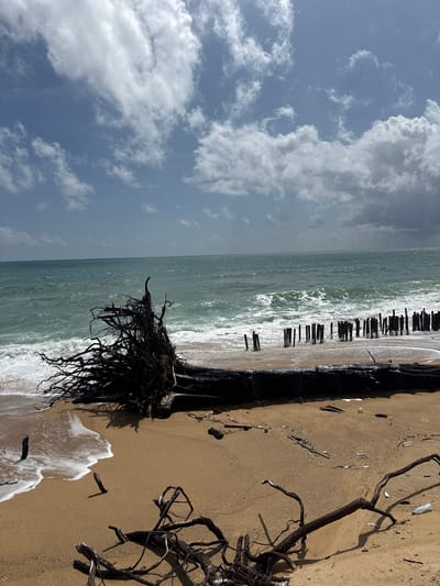 A beach scene in Ban Tha Chard Chai, Thailand. The foreground features a large, dark, uprooted tree with extensive root systems spread across the sandy beach. Scattered on the sand are smaller pieces of driftwood, some plastic debris including bottles and wrappers, and small black posts jutting out of the sand. The middle ground shows the ocean with moderately sized waves breaking on the shore, creating white foam. In the distance, a row of dark, weathered wooden posts stands partially submerged in the water and sand. The horizon is marked by the sea meeting a pale blue sky filled with a mix of white, fluffy clouds and darker, more dramatic cloud formations.