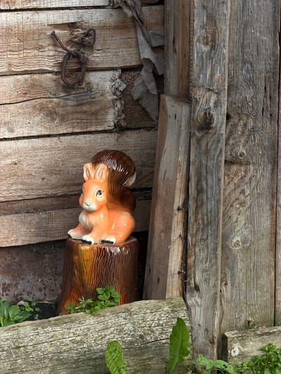 This media file showcases a ceramic figurine of a squirrel nestled within a hollowed-out log, lying on weathered wooden planks. The squirrel, with its orange and brown glazed finish, has a detailed face with wide blue eyes and brown hair. The log it's in also features a textured, wood-like glaze. The background consists of rustic, aged wooden boards, some with visible knots and nails. A rusty metal loop is attached to one of the planks, and some green foliage is starting to grow around the log and on some of the wooden structures, suggesting an outdoor setting. The lighting appears to be natural daylight. The scene is still, with no apparent activity taking place beyond the figurine resting in its environment. The overall impression is one of rustic charm and a touch of whimsical decor.