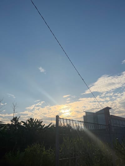 A low-angle shot captures a tranquil scene at sunset in Bandungrejo, Indonesia. The sky is a gradient of soft blues and whites, dotted with scattered clouds that are illuminated by the setting sun. A thin black power line stretches diagonally across the frame from the top left to the bottom right. In the middle ground, a modern building with a light blue and red facade stands behind a metal fence. Lush green vegetation, including banana trees and tall grass, fills the foreground and the area surrounding the building. The sun, partially obscured by clouds, casts a warm glow and creates sunbeams that fan out across the sky and over the fence. A faint ray of light even reflects off the fence. The overall atmosphere is peaceful, highlighting the natural beauty of the Indonesian landscape at dusk.