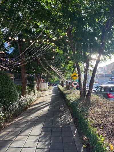 The image depicts a pedestrian walkway in Nonthaburi City Municipality, Thailand, lined with trees decorated with string lights. The walkway is paved with square concrete tiles, and sunlight casts shadows across its surface, indicating it is daytime. Lush green bushes and hedges flank the walkway on the left, while on the right, there is a strip of dry brush and a parked car. Several trees with dense green foliage rise above the walkway, their branches also adorned with strings of small, round lights. In the background, a building with a "7-Eleven" sign is visible, along with other structures and parked vehicles, suggesting an urban environment. Traffic signs, including a speed limit sign indicating "30" and a yellow cautionary sign depicting a hump, are present near the trees. A few individuals are walking in the distance along the walkway. The overall scene suggests a commercial or public area that is decorated for an occasion or as part of its aesthetic.