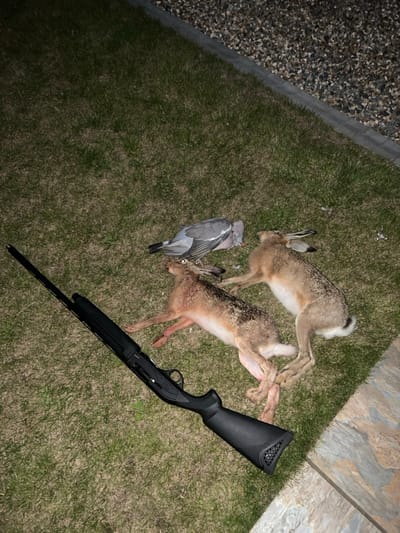 The image depicts a nighttime outdoor scene, likely on a property in Skipsea, United Kingdom. The foreground shows a patch of manicured grass with a narrow paved section and a gravel area to the upper right. On the grass, three deceased animals are arranged: two brown hares and one grey pigeon. The hares are positioned with their bodies mostly intact, lying on their sides. The pigeon is also lying on its side. Adjacent to the animals, a black, long-barreled firearm, consistent with a shotgun, rests on the grass with its barrel pointed towards the upper left of the frame. No individuals are present in the image. The scene suggests a recent hunting activity.