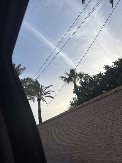 The image shows a view of palm trees and a brick wall against a cloudy sky, with power lines crossing the frame. The perspective is from a car, as indicated by the dark curved object on the left side, likely a car pillar. The scene is set in Urbanización Cabo Roig, Spain. The brick wall is constructed with a decorative frieze near the top. Lush green trees are visible behind the wall and to the right, with palm trees silhouetted against the sky. The sky is a pale blue with wispy white clouds and hints of sunlight towards the horizon.