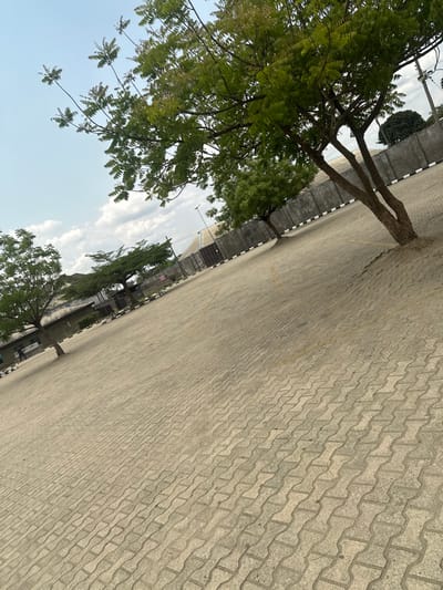 The image displays an expansive outdoor area located in Ozuaha, Nigeria. The ground surface consists entirely of grey interlocking concrete pavers, exhibiting faint, faded yellow lines suggesting parking space delineation. A clear blue sky with scattered white clouds occupies the upper portion of the frame. Several trees with green foliage are present; a prominent tree with multiple trunks stands in the mid-ground to the right, while other trees are situated in the mid-ground and background. In the background, a grey concrete perimeter wall is visible, topped with distinct black and white striped sections. Behind this wall, various structures are discernible, including a large building with a sloped roof towards the right and additional buildings to the left. A solitary, indistinct individual is observed standing or walking in the far left mid-ground, near a structure. No specific actions or interactions are clearly depicted.