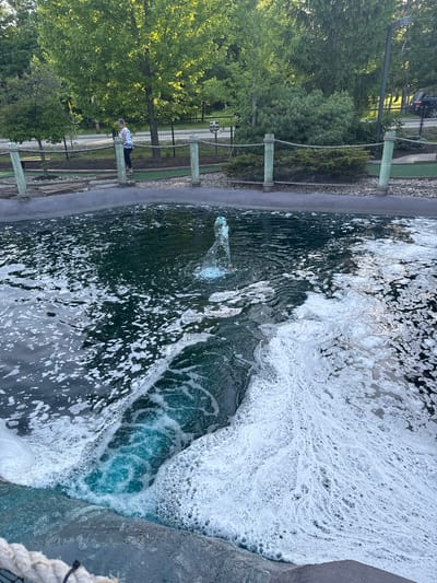 This image captures an outdoor scene at what appears to be a landscaped recreational area, possibly a park or a mini-golf course, in Chelsea, Canada. The dominant feature is a large body of water, likely artificial, which exhibits significant aeration and turbulence, creating vast amounts of white foam on its surface, particularly towards the right side of the frame. The water shows various shades, from dark green to a vibrant blue-green where it is most agitated.

Adjacent to the water, a paved path runs parallel to a fence constructed from dark wooden posts and thick rope. Beyond this fence, the environment is rich with lush green foliage, including mature trees and dense bushes, suggesting a well-maintained natural setting. In the distance on the left, a dark-colored vehicle is partially visible through the trees.

A single person, an adult, is standing on the paved path near the fence, observing the water. The time of day appears to be daytime, possibly late afternoon or early evening, indicated by the bright natural light illuminating the scene and casting golden hues on some of the greenery. The weather seems clear. There is no visible text in the image.