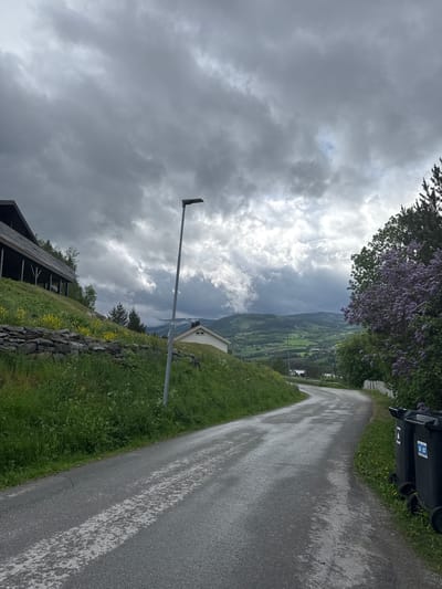 This media file captures a serene, rural landscape in Vinstra, Norway, under an overcast sky. The primary subject is a paved road, appearing damp in patches, which curves gently uphill from the lower right towards the middle ground. Green grass, dotted with small yellow and white wildflowers, flanks both sides of the road.
On the right side of the road, two dark green trash bins with white and blue labels are visible, partially obscured by green foliage and purple flowering bushes, possibly lilacs, which overhang the road. A white picket fence is discernible behind the bins. Further along this side, a small, white house with a brown roof is nestled on the hillside, overlooking a valley.
To the left of the road, a tall, grey metal street lamp post stands upright. Below it, a dry-stacked stone wall runs along the grassy slope, which is also punctuated by coniferous trees. A part of a wooden structure with a dark roof is visible in the lower-left corner.
The background reveals a picturesque valley, stretching between verdant hills and mountains under the dramatic sky. Scattered buildings and green fields populate the valley floor. The sky is largely covered with thick, dark grey and white clouds, indicating an overcast day, possibly after or before rain, given the damp appearance of the road. No people or animals are present, and no specific activities are taking place. The text on the trash bin labels is not clearly legible but includes symbols, likely related to recycling or waste management. The overall mood is one of tranquil nature, emphasizing the rugged beauty of the Norwegian landscape.