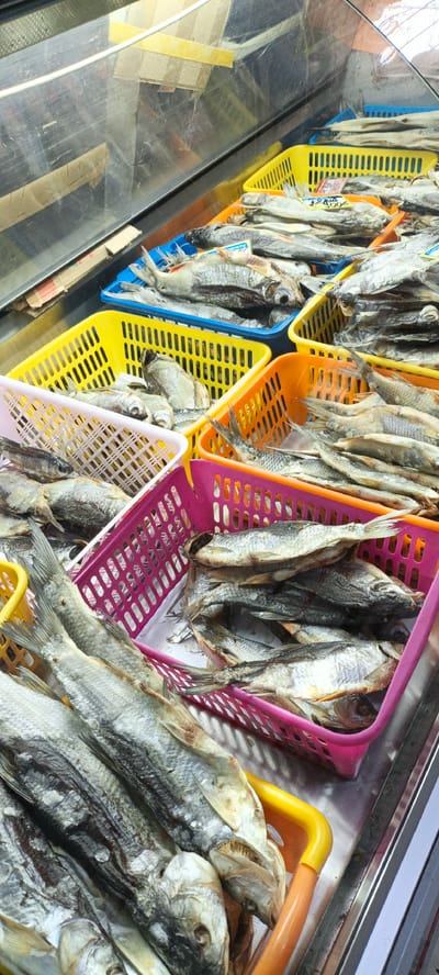 This is a close-up, eye-level, vertical shot of a display of dried fish at a market stall in Novlenskoe, Russia. Multiple plastic baskets, colored blue, yellow, orange, and pink, are filled with various types of dried fish, arranged in rows. The fish are silver and grey, with visible scales and fins. Some of the fish are larger and more intact, while others are smaller and appear more broken. The baskets are stacked and placed on a metal surface. In the background, a glass display case is visible, containing more fish and some cardboard boxes. The lighting suggests an indoor market setting. There are no people visible in the image.