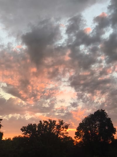 The image depicts a dramatic sunset over a landscape of trees in Pakwash, Abkhazia. The sky is filled with a mix of dark grey and light grey clouds, interspersed with patches of vibrant pink and orange, indicating the warm hues of the setting sun. Silhouetted against this colorful sky are the dark, dense canopies of numerous trees, forming a distinct line along the horizon. The lower portion of the image is dominated by these trees, with the bright orange glow of the sunset visible through gaps in their foliage. There are no people or any discernable structures visible in the scene, focusing solely on the natural elements of the sky and trees.