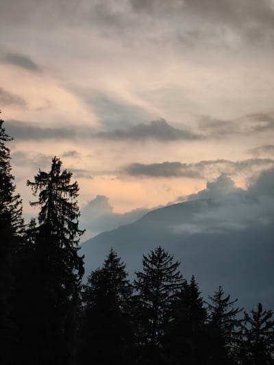 The image captures a serene mountainous landscape, likely during twilight or dawn. In the foreground, the dark silhouettes of tall evergreen trees frame the scene. Beyond the trees, layers of misty mountains recede into the distance. The sky is a blend of soft pastel hues, with streaks of light pink and orange diffused through a canopy of grey clouds. The overall atmosphere is tranquil and natural, conveying a sense of peaceful isolation. The location is described as being in Aleo, India.