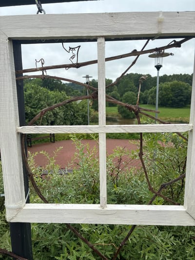 The image depicts a view through a white, rustic window frame, possibly an outdoor decorative element, at the Vile de Sabile park in Sabile, Latvia. The window frame is made of weathered wood with visible grain and appears to be hanging by chains. Several brown, bare branches, possibly from a vine, are intertwined within and around the frame, creating a natural, somewhat overgrown aesthetic.

Through the window, a landscape unfolds under an overcast sky. In the middle ground, a section of a red brick-tiled area is visible, with a dark-colored park bench situated behind it. Beyond this, a body of water, likely a pond or a slow-moving river, is present, bordered by lush green trees. In the background, a dense forest of various trees fills the horizon. A modern lamp post with a clear glass casing and a dark base stands to the right, partially obscured by branches. The foreground is dominated by green foliage, likely bushes or small trees, with numerous water droplets clinging to the leaves, suggesting recent rain or dew. There are no people visible in the scene.