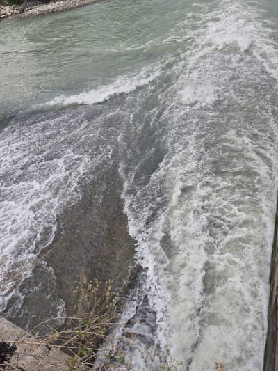 The image displays a close-up, overhead view of a dam or waterfall on a river, with turbulent, whitewater cascading over a rocky or concrete structure. The water is a muted greenish-gray color, with white foam and spray indicating the force of the flow. In the upper left quadrant, the river appears calmer, with a visible shoreline composed of rocks and vegetation. The lower left corner shows the edge of the dam or bank, with some dry grass and a small plant with yellow buds growing out of a concrete or stone surface. The right edge of the image reveals a concrete wall or structure bordering the turbulent water. There are no people or animals visible in the frame. The scene is outdoors, suggesting a natural or man-made water feature. This appears to be the dam on the Galytska river in the city of Tekeli, Kazakhstan.