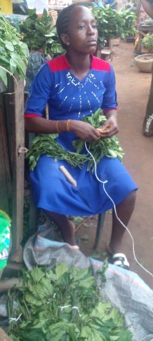 In a market setting within Ilogbo Eremi, Nigeria, a woman is seated on a dark stool. She has dark skin and braided hair, wearing a short-sleeved blue dress with red shoulder accents and white embellishments across the chest. Yellow bangles are visible on her right wrist. Her hands are engaged in preparing bundles of green leaves, with white string wrapped around her fingers and across her lap. A small knife with a light-colored handle rests on her dress between her legs. Below her, on a light-colored woven sack on the reddish-brown dirt ground, are several bundles of green leaves, some tied with white string. The background consists of dense green foliage, indicating other market stalls or produce.