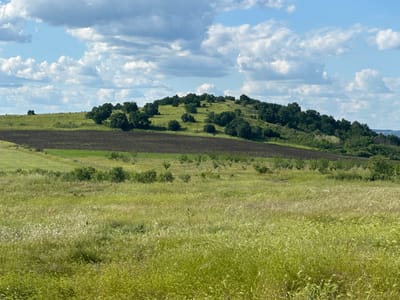 The scene is a rural landscape near Bryastovets, Bulgaria. In the foreground is a field of tall, green grass, slightly blurred, indicating proximity to the camera. Above the field, the midground contains a row of small trees. Behind these trees is a small section of plowed, dark soil, with a visible green field beyond a fence line. Further back, a hill covered with trees and vegetation rises. The hill has clusters of deciduous trees scattered across its surface. Above the hill, the sky is blue with scattered white clouds. There are no people visible in the image. The image appears to have been taken during daylight.