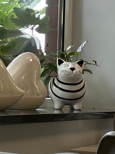 In Koszuty-Huby, Poland, a black and white striped ceramic cat planter with a happy expression sits on a dark countertop. Behind the cat planter, green leafy plants are visible. To the left of the cat, there are two large, smooth, beige ceramic objects. The environment appears to be indoors, near a window, with natural light illuminating the scene. The overall impression is one of decorative indoor plants and ceramic art.