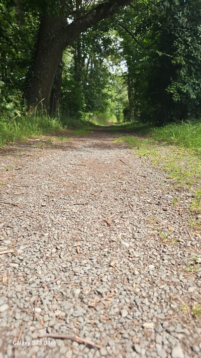 An upward-angle, eye-level shot shows a gravel path leading into a forest. The path is lined with green grass and trees. The sky is not visible. The bottom left corner of the image contains the text "Galaxy S23 Ultra". The scene appears to be a nature trail or park.