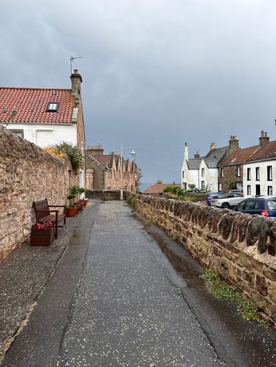 A narrow, wet street is framed by old stone walls and buildings on either side. A bench with flower boxes sits along one wall. Tiled rooftops of houses peek into view, some with chimneys. The sky above is overcast and gray. Cars are visible parked along the street in the distance. The overall atmosphere is historic and somewhat dreary due to the weather.