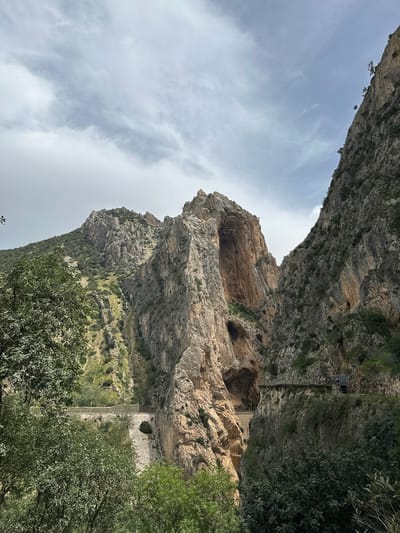 A deep and narrow rocky gorge or canyon is depicted under a partly cloudy daytime sky. Towering, stratified cliff faces rise steeply on both sides, revealing layers of light and dark rock.

On the right side of the canyon, the cliff face is particularly sheer and rugged, featuring several large, dark cave openings or overhangs. High up on this cliff, a prominent man-made structure is visible: an elevated metal walkway or platform, which includes a small, enclosed building or cabin. A long, slender ladder or set of stairs descends from this platform further down the rock face. Below this, a narrower, concrete-like path or bridge extends along the base of the cliff, suggesting a trail or access route.

The left side of the canyon also displays rocky slopes, but with more abundant green vegetation, including numerous trees and shrubs clinging to the surfaces and growing on lower ledges. Denser foliage also occupies the foreground and lower sections of the scene, particularly on the left.

The sky, visible in the narrow gap above the canyon, is light blue with scattered white and grey clouds, indicating good visibility during the day. The overall impression is one of a dramatic natural landscape, enhanced by human infrastructure designed to navigate its challenging terrain. This scene strongly resembles the environment of El Caminito del Rey near Ardales, Spain, which is known for its precarious cliffside paths and gorges. No people or visible text are discernible.