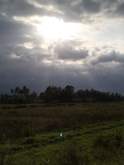 The image depicts an expansive outdoor landscape in Jambo Dalam, Indonesia. The upper half of the frame features a heavily clouded sky, composed primarily of dark gray and white cumulus formations. A prominent, intense white light source, presumed to be the sun, is visible in the upper-center, partially obscured by clouds, with visible light rays extending downwards. The lower half of the frame presents an open field. The immediate foreground consists of vibrant green grass, transitioning into a vast area of denser, browner, and drier vegetation in the midground. Forming the distant horizon, a dense line of numerous dark green palm trees, consistent with coconut palms, and other foliage stands against the lighter sky. No individuals, animals, or man-made structures are present within the scene. A circular, semi-transparent bluish-green light artifact is visible in the lower-central portion of the field.