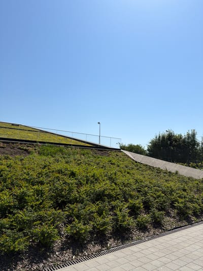 The image depicts an outdoor scene under a clear blue sky, featuring a sloped area covered in lush green bushes. In the background, a modern structure with a green roof is visible, bordered by a glass railing and a concrete walkway. A streetlamp stands on the green roof. Further back, a line of trees and a wire fence can be seen. The foreground shows a paved area with a drainage grate. The overall impression is one of a well-maintained urban park or landscaped area. The specific location of Oświęcim, Poland is not identifiable from the visual information presented in the image itself.