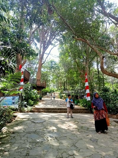 The scene is an outdoor, elevated pathway within a wooded park in Kajar, Indonesia. The immediate foreground features a paved path of irregular stone slabs, transitioning to a short set of stone steps, then to a dirt or gravel path ascending into dense foliage. In the lower right, an adult female stands, oriented left, wearing a blue hijab, a reddish-brown long-sleeved top, and a patterned, long skirt, holding a tan bag. To her left, and slightly elevated on the path, a male youth stands with a dark backpack over his left shoulder, facing ahead. Multiple less distinct figures are visible walking up the path in the background. On the left, a multi-tiered wooden structure, resembling a treehouse or elevated platform, is affixed to a large tree, accompanied by a vertical red and white striped banner. A similar banner is located on the right side of the path further back. A sign advertising "Pudar Sunset" and displaying multiple images is partially visible on the far left. The environment is characterized by tall, mature trees forming a canopy, with dense green undergrowth. Dappled sunlight illuminates sections of the path.
