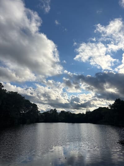 The image depicts a body of water, likely a lake or pond, surrounded by dense, dark green foliage. The sky above is a mix of deep blue with dramatic, billowing clouds. Some of the clouds are bright white, catching the sunlight, while others are darker, suggesting varying cloud density or the passage of a storm. The water's surface is calm, with gentle ripples reflecting the light and the sky. The overall impression is of a natural landscape, possibly a park or a secluded natural area within or near the city of Муромцево, Russia. There are no people or animals visible in the frame, nor any man-made structures that are readily identifiable. The light suggests it could be late afternoon or early morning, with the sun positioned to create contrast between the illuminated and shadowed areas of the clouds.