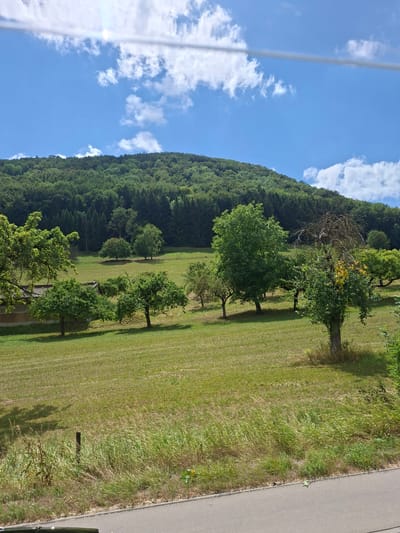 The image shows a rural landscape with a gently sloping green hill covered in trees in the background. The foreground features a large, grassy field dotted with several trees. A road is visible at the bottom right of the image. The sky is blue with scattered white clouds, and a thin wire runs horizontally across the upper portion of the image. There are no people or animals visible in the frame. The overall scene depicts a natural environment, likely a park or agricultural area. Based on the provided context of Bad Ditzenbach, Germany, this could be a view from a hiking trail or a scenic overlook in the vicinity of the town.