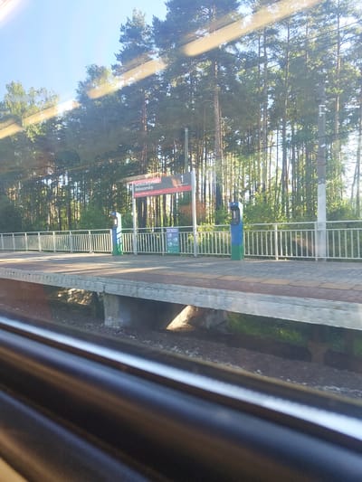 The image shows a train station platform in Beloozyorsky, Russia. A signpost at the platform displays the station name "Белоозерский" and "Beloozerskiy" in English, along with the number "1". The platform is lined with a white metal fence and two blue and green bins. In the background, a dense forest of tall pine trees is visible. The ground of the platform is paved with grey and brown tiles. The view appears to be from inside a moving train, indicated by the blurred dark surfaces in the foreground, likely the train's window frame or interior. The lighting suggests it is daytime, possibly late afternoon, given the warm sunlight filtering through the trees.