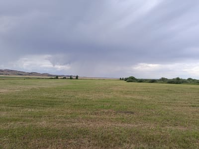 The image depicts a wide, open grassy field under a dramatic sky with heavy, dark clouds. In the distance, rolling hills are visible, some with sparse vegetation and a lighter, tan color, contrasting with the green field. A line of trees forms a boundary along the horizon in several places. There are a few scattered figures in the field, appearing as small dots, possibly people engaged in distant activities. The sky is characterized by an overcast and possibly stormy condition, with a distinct area of rain or a downpour visible in the middle distance towards the left. The foreground is dominated by the textured, dry and green grass of the field. The scene appears to be a rural or semi-rural landscape located near Imeni Tel'mana Nomer Tretiy, Kazakhstan.
