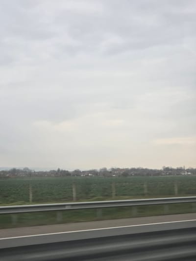 The image captures a rural landscape near Opalchenets, Bulgaria, viewed from a moving vehicle under an overcast sky. In the immediate foreground, a two-beam grey metal guardrail runs horizontally across the bottom of the frame, above a dark asphalt road surface marked with a solid white line. Motion blur is discernible on the guardrail and road. The midground features an expansive green agricultural field, cultivated with a low crop, containing several thin, light-colored vertical posts. The background presents a distant village, identified as Opalchenets, Bulgaria, consisting of multiple low-rise structures with visible roofs, interspersed among a dense line of bare deciduous trees. A faint, light grey horizon of distant hills or mountains is visible beyond the village, beneath a uniformly light grey, cloudy sky that occupies the upper two-thirds of the composition. No individuals are present.