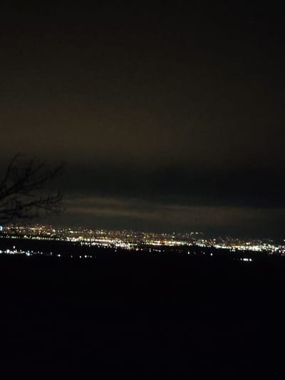 The image presents a nighttime panoramic view, likely from an elevated vantage point, depicting a distant urban area identified as the city of Balsha, Bulgaria. The upper third of the frame consists of a dark, overcast sky, showing minimal variation in tone. A horizontal band, positioned across the middle of the image, displays a dense concentration of blurred, multi-colored artificial lights, indicative of a city's illuminated infrastructure. These lights, predominantly white and yellow with some red and blue hues, stretch across the entire width of the frame, suggesting a sprawling settlement. The terrain directly below this band of lights, occupying the lower two-thirds of the image, is entirely black, indicating an unlit foreground or obscured landscape. In the upper left quadrant, the silhouetted, bare branches of a tree extend partially into the frame, contrasting against the dark sky and the distant city glow. No individuals, specific actions, or explicit interactions are visible within the scene.