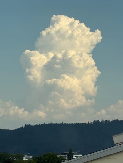 The image captures a dramatic juxtaposition of natural and man-made elements. The prominent subject is a large, fluffy cumulus cloud formation dominating the sky. The cloud is illuminated, suggesting it's daytime, likely late afternoon or early evening given the golden hue. Its size and texture are the main focus of the upper portion of the image.

Beneath the sky, a steep, dark forested hillside forms the background. The trees are dense, creating a stark silhouette against the lighter sky and clouds. The hillside descends towards the right side of the frame.

In the lower right corner, glimpses of modern architecture are visible. A white building with multiple stories and prominent windows stands out, and another similar structure can be seen further to the right, partially obscured by trees. This suggests an urban or semi-urban setting adjacent to the natural landscape. The presence of buildings and the hint of a road or pathway indicate human presence and development.

The overall impression is one of nature's grandeur, represented by the imposing cloud and hillside, contrasted with the ordered lines of human construction. The lighting creates a serene, possibly awe-inspiring atmosphere. The image appears to be taken from a slightly elevated vantage point, looking up towards the clouds and down towards the hillside and buildings. The weather appears fair, with clear skies save for the substantial cloud. The location context of Singen (Hohentwiel), Germany, might imply the presence of the Hohentwiel volcano as the hillside, a well-known landmark in the area. There is no visible text in the image.