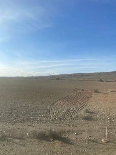 The image is a vertically oriented photograph showcasing an expansive, open landscape, likely an arid or semi-arid region. The upper portion of the frame is dominated by a clear, bright blue sky with a few wispy white clouds stretched horizontally across it. A distinct horizon line separates the sky from the terrestrial landscape, running diagonally from the lower-left to the upper-right of the image.
The lower two-thirds of the image depict a vast expanse of brownish-grey, rocky ground. A prominent feature in the center-right is a large, irregularly shaped area of recently tilled soil, characterized by numerous parallel, wavy furrows. A small, light-colored, rectangular object or marker is visible within or at the edge of this tilled section, towards its upper boundary.
Elsewhere on the ground, sparse, low-lying vegetation is scattered, including a small green bush near the tilled patch. Two thin, light-colored poles or sticks are visible in the far-right section of the frame, partially obscured by the rough terrain. Long, dark shadows, likely cast by unseen objects outside the frame, stretch across the lower-right portion of the ground, suggesting either early morning or late afternoon. In the distance, along the horizon, faint outlines of hills or mountains can be seen, partially softened by atmospheric haze. The scene conveys a sense of rural agricultural preparation under a sunny sky. No people or visible text are present. The setting is consistent with the Jbilate region of Morocco.