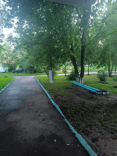The image depicts a paved pathway with a turquoise-painted concrete border, leading into a park-like area. Mature trees with dense green foliage dominate the scene, casting shadows on the damp, dark soil and sparse grass below. A simple, turquoise-painted wooden bench is positioned under one of the trees, resting on a patch of ground surrounded by what appear to be old tire planters. In the background, a dark-colored car is parked amidst the greenery, partially obscured by trees and bushes. Another vehicle, covered with a light-colored tarp, is visible further down the pathway to the left. The overall environment suggests a slightly neglected but functional public outdoor space, likely in a residential or communal area within the city of Muromtsevo, Russia. The lighting indicates it is daytime, possibly overcast or late afternoon, given the diffused light and shadows. There are no people visible in the image.