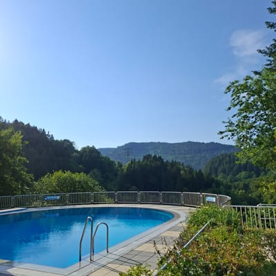 The image shows a clean, empty, outdoor swimming pool with bright blue water. The pool has metal railings surrounding it and metal steps leading into it. The pool is set on a patio with a patterned tile surface. In the background, there are lush green trees and rolling hills under a clear blue sky. A power line tower is visible in the distance. A blue sign with white text is attached to the railing, reading "WT 3,80 m". The scene appears to be a tranquil resort or private property located in the town of Forbach, Germany, known for its scenic natural surroundings.