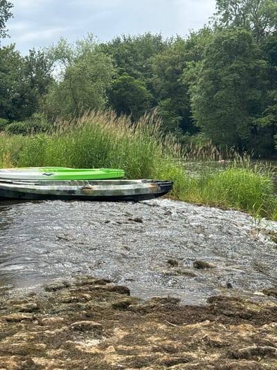 Two kayaks, one lime green and the other gray and black, rest on the bank of a body of water. Tall green grass grows beside the kayaks, with trees lining the horizon. Water flows over a small, moss-covered dam. The sky is overcast.