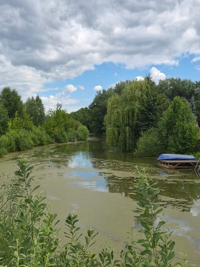 The image depicts a body of water covered in a thick layer of green algae. The water is surrounded by lush green trees and vegetation. In the distance, a small wooden dock is visible, with a blue boat placed upside down on it. The sky is partially cloudy, with patches of blue sky peeking through. The scene appears to be a tranquil natural setting, possibly in a rural area or park.