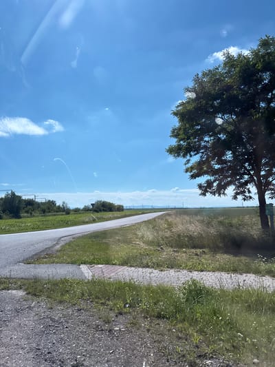 The image depicts a scenic rural landscape under a clear blue sky with scattered white clouds, likely taken in the vicinity of Zaplatyn, Ukraine, during daylight hours. A paved road curves gently through grassy fields and vegetation. On the right side of the road, a large tree with dense green foliage casts a shadow. In the distance, agricultural fields and some industrial structures, possibly related to power lines or construction, are visible on the horizon. The foreground consists of a gravel and grass embankment leading to the road. The overall impression is one of a tranquil, open countryside environment.