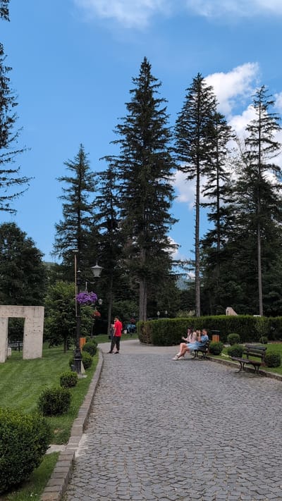 The image depicts a park scene in Bușteni, Romania, with tall conifer trees dominating the background under a bright blue sky with scattered white clouds. A paved cobblestone path winds through the park. On the path, a person in a red shirt is standing, facing away from the camera, and looking at their phone. Further down the path, a couple is seated on a wooden bench, appearing to be engaged in conversation. To the left of the path, a patch of manicured green lawn is visible, adjacent to a stone structure and several neatly trimmed bushes. Another wooden bench is placed on the right side of the path, unoccupied. The park environment suggests a tranquil outdoor setting.